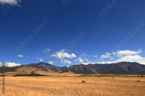landscape in the Altai mountains