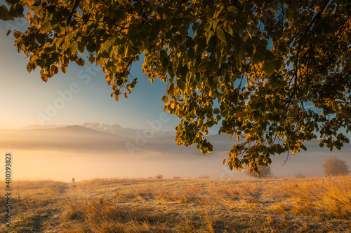 Fototapeta Naklejka Na Ścianę i Meble -  Colorful autumn near the Tatras. Peaks and hills bathed in the light of the setting sun.