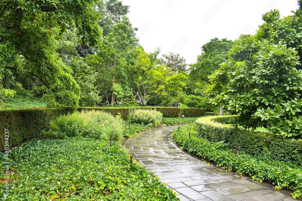 path in the park