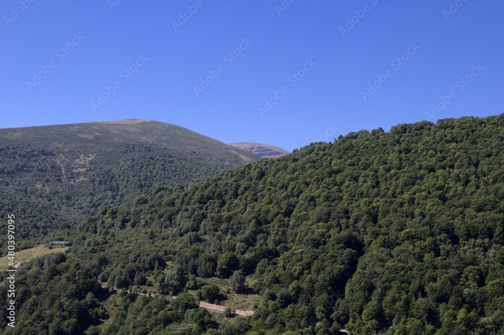 Mountainous part of Cantabria in the north of Spain, summer and heather flowering 