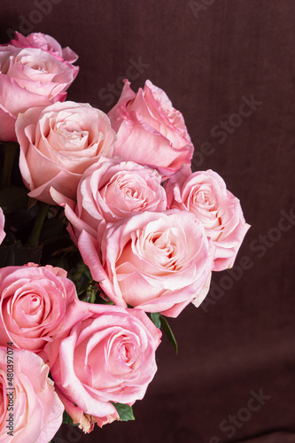 Pink roses on brown background close up. Space for text. Bouquet for woman