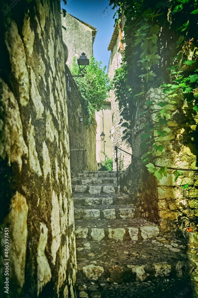 Ruelle Ruelle
