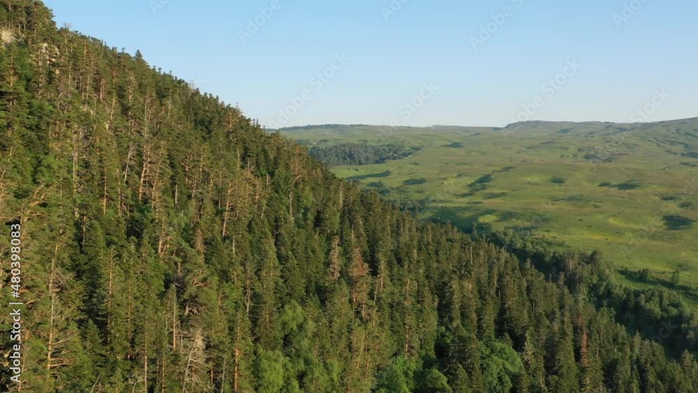 Aerial view of green hills and pine forest. Summer mountain landscape at sunset. Adygea, Lago-naki plateau, Russia, 4k Aerial view of green hills and pine forest. Summer mountain landscape at sunset. Adygea, Lago-naki plateau, Russia, 4k