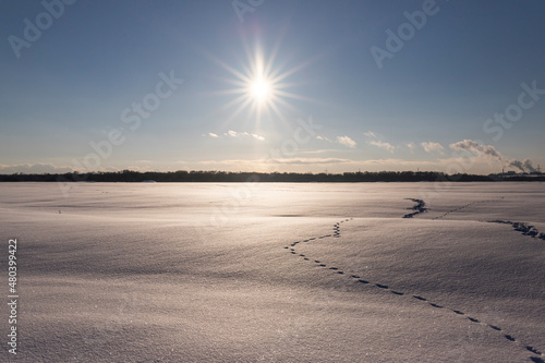 sunset in the snow field