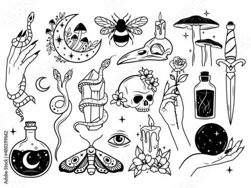Set of witchcraft items. Collection of witchy magic equipment dagger, celestial crystal, skull, potions, bugs, candles, and crystal balls. Vector illustration of mythical elements.