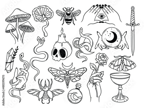 Set of witchcraft items. Collection of witchy magic equipment dagger, celestial crystal, skull,  potions, bugs, candles, and crystal balls. Vector illustration of mythical elements.
