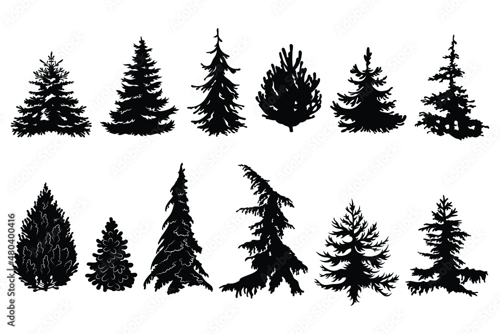 Naklejka premium Set of various silhouette christmas tree Collection of forest pine and fir tree. Logotype. Vector illustration of nature on a white background.