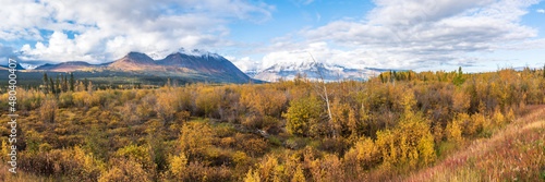 Panoramic landscape in Yukon Territory, northern Canada during September with spectacular fall, autumn colors on perfect blue sky day with huge mountains of Kluane National Park.  photo