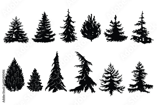 Set of various silhouette christmas tree Collection of forest pine and fir tree. Logotype. Vector illustration of nature on a white background.