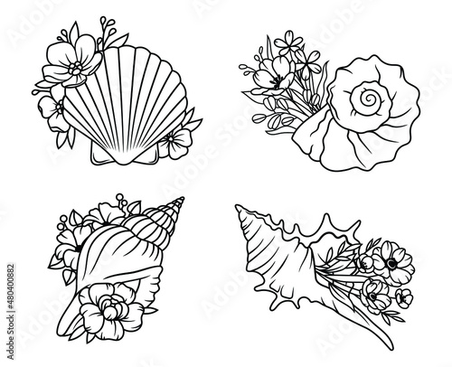 Set of flower seashells. Сollection of shells with flower wreath. Beach. Summer shell. Vector illustration of design for print. Drawing for children.