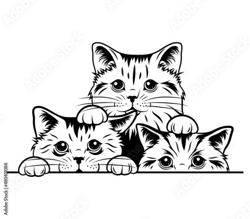 Illustration of peeking cats. Portrait or 3 striped cats looking out of the corner. Cute spy kittens. Funny animals. Playing pets. Tattoo.
