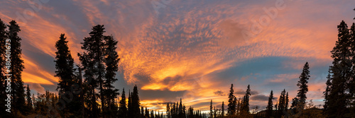 Amazing pink, orange bright pastel sunset over forest sky in northern Canada in panoramic scenic view. 