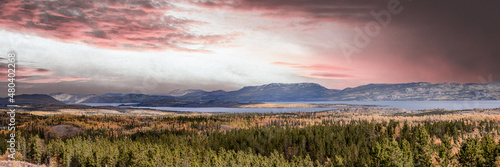 Panoramic landscape in Yukon Territory, northern Canada during September with spectacular fall, autumn colors on pastel pink sunset afternoon. 