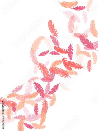 Flying feather elements airy vector design.