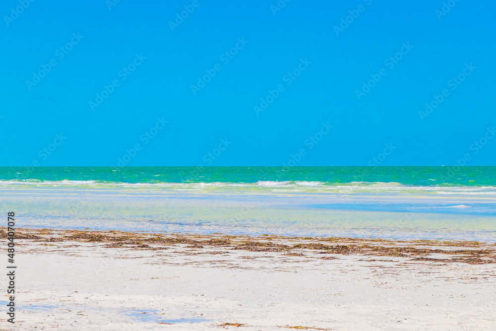 Natural Holbox island beach sandbank panorama turquoise water waves Mexico.