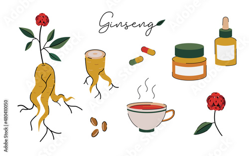 Ginseng root and supplements vector set. Hand-drawn flat illustration featuring ginseng plant, root, tea, pills, extract bottles, and capsules. Perfect for herbal medicine, wellness