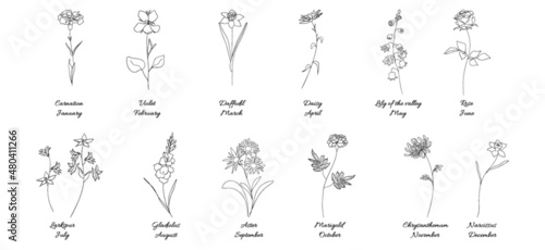 birth flower line art black and white set 12
