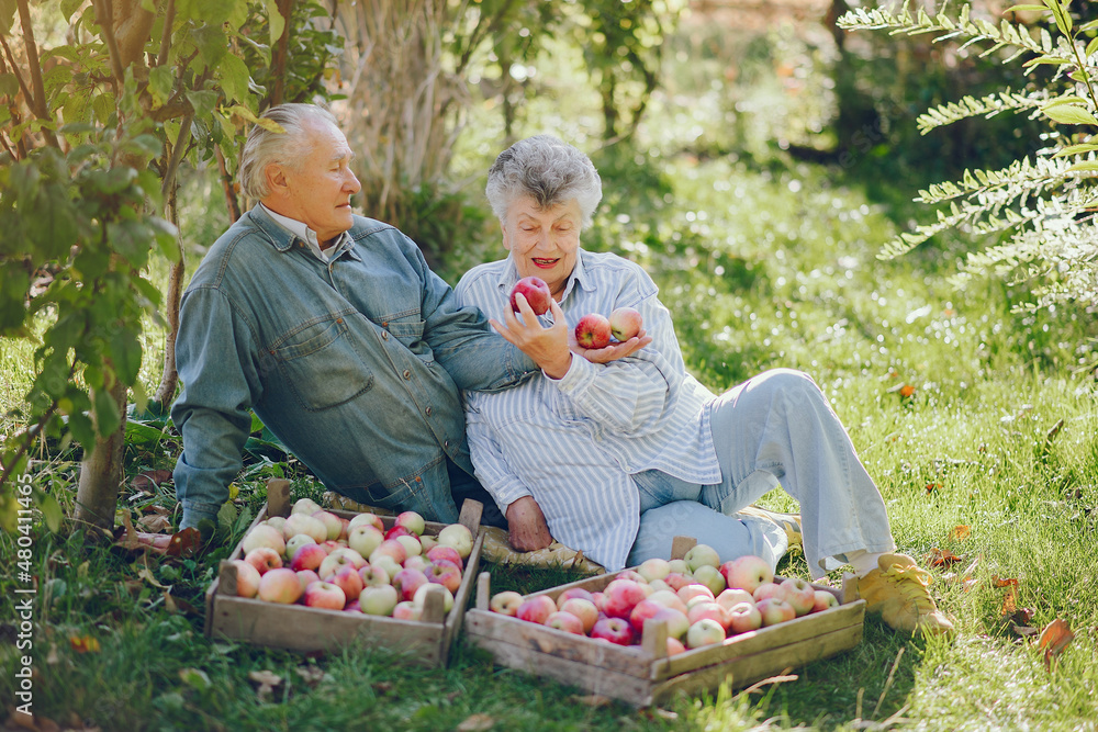 Old couple sittingin a summer garden with harvest