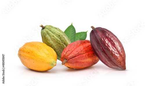 Obraz na plátně Different varieties of cocoa pods isolated on white background.
