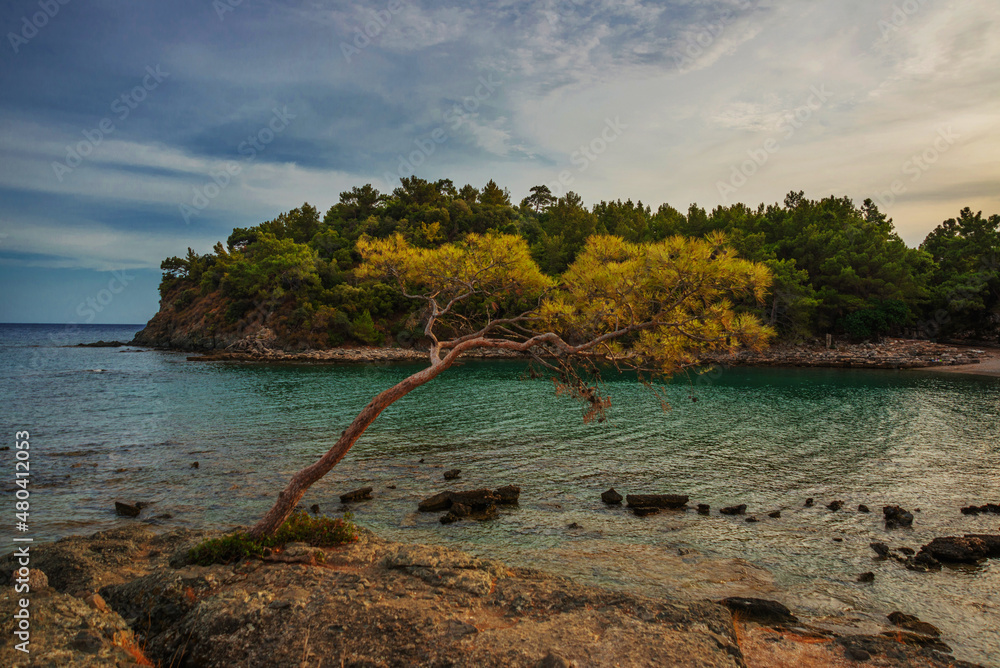 PHASELIS, TURKEY: The scenic view of the beach of Phaselis ancient city on a cloudy day. PHASELIS, TURKEY: The scenic view of the beach of Phaselis ancient city on a cloudy day.