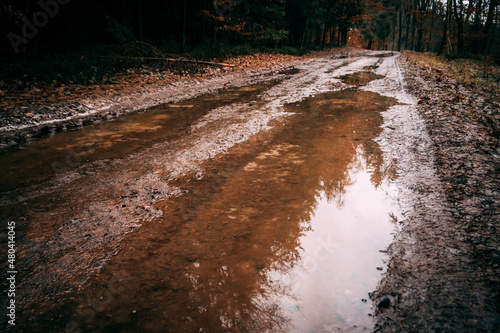 dirt and wet road with water slop in the forest photo