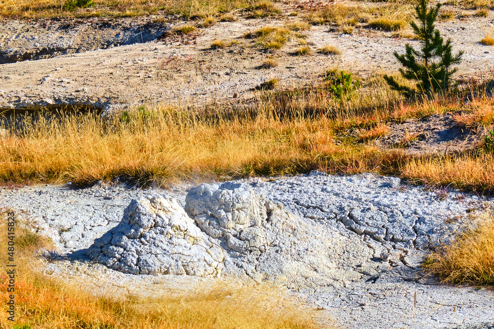 Fumeroles in Yellowstone National Park Fumeroles in Yellowstone National Park