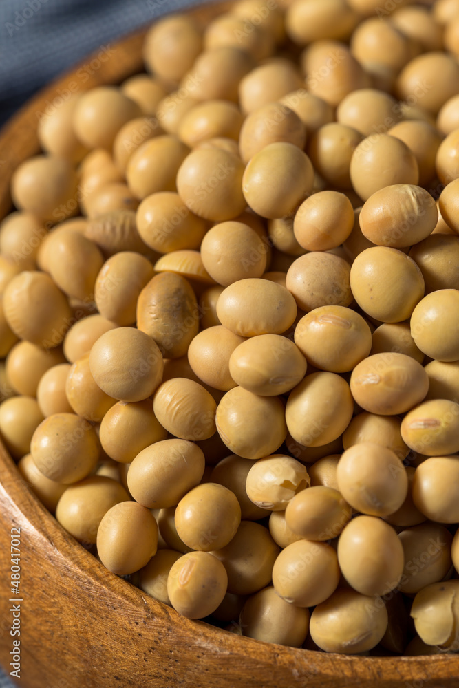 Dry Organic Soy Beans