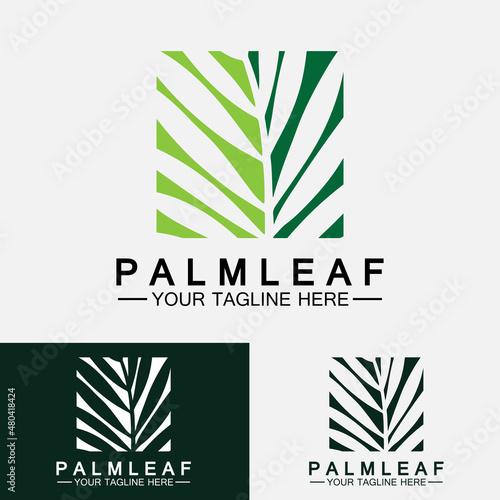 Tropical Palm leaf logo vector design template