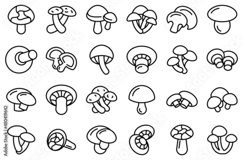 Shiitake mushroom icons set outline vector. Autumn plant