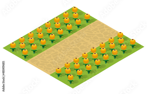 Isometric 3d illustration park trees forest nature