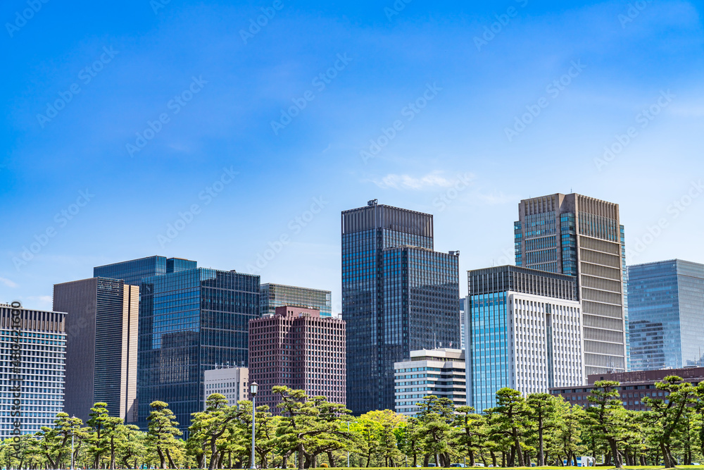 Fototapeta premium 東京の都市風景 皇居外苑から見る大手町周辺のビル群