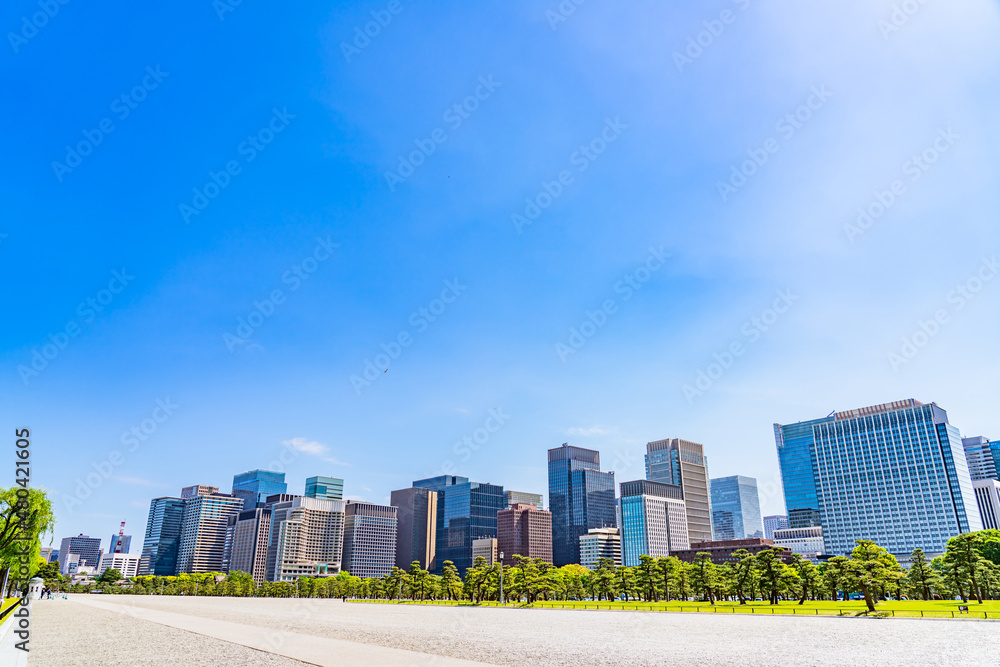 Obraz premium 東京の都市風景 皇居外苑から見る大手町周辺のビル群