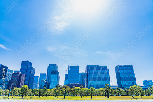 東京の都市風景 皇居外苑から見る丸の内周辺のビル群 photo