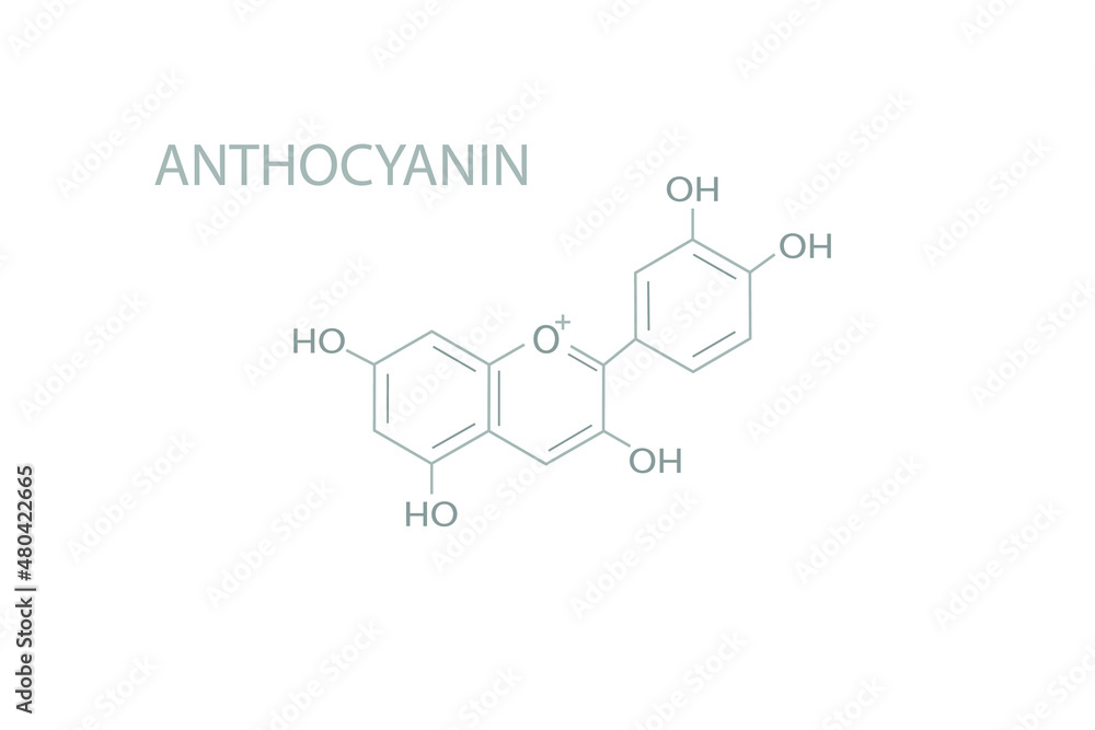 Anthocyanin molecular skeletal chemical formula.