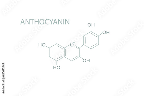 Anthocyanin molecular skeletal chemical formula. photo