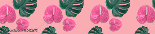 Panorama of pink exotic flowers in the shape of a heart on a pink background