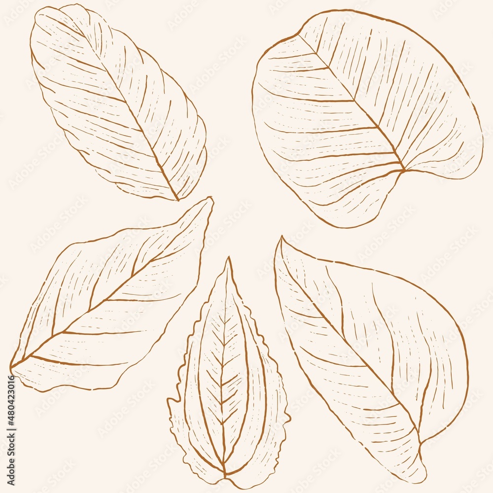 hand drawn leaf line art, hand drawn nature painting. Free hand sketch illustration.