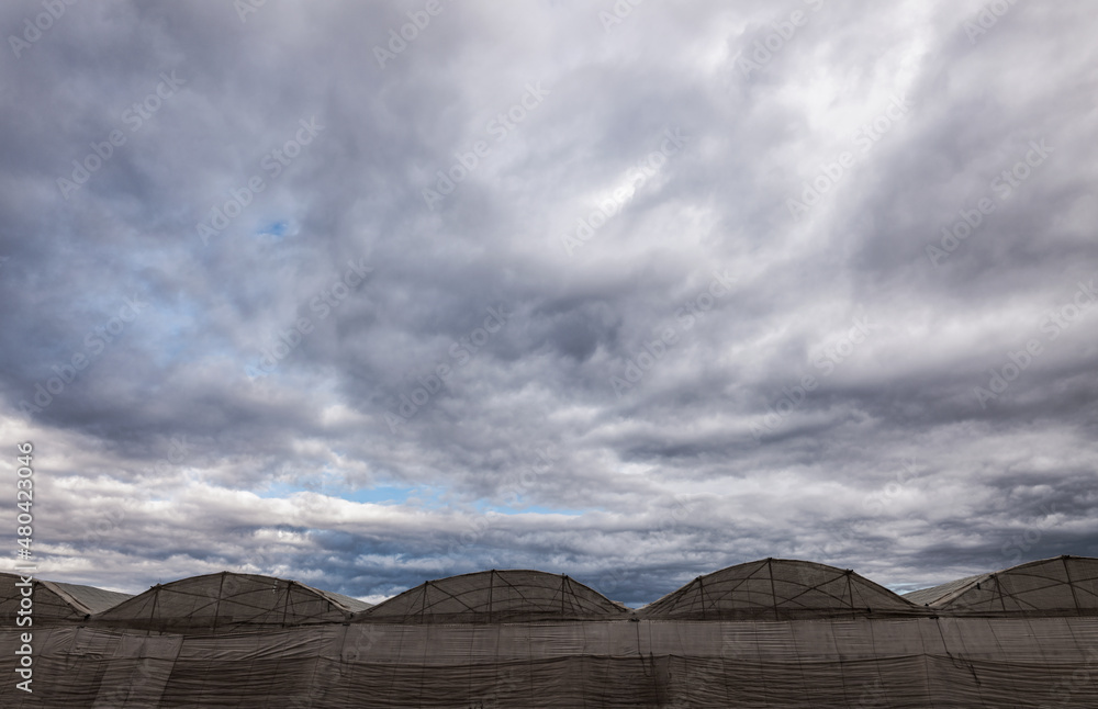 Fototapeta premium Plastic greenhouses against cloudy sky in Almeria, Spain