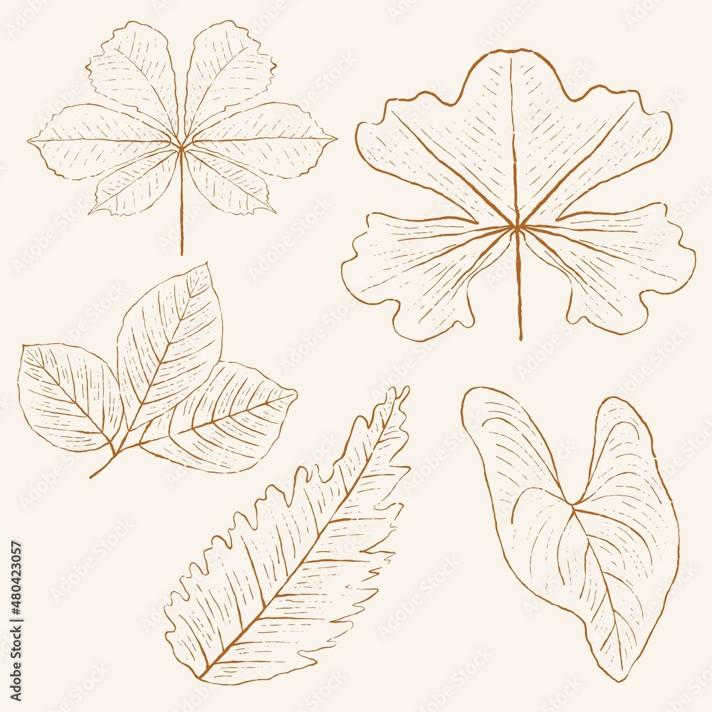 Fototapeta premium hand drawn leaf line art, hand drawn nature painting. Free hand sketch illustration.