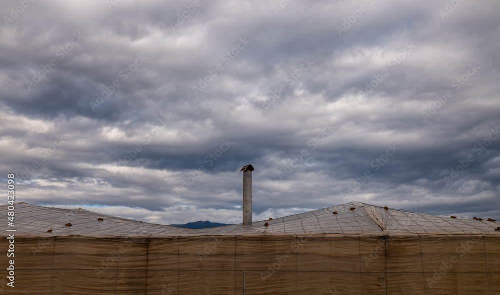 Fototapeta premium Plastic greenhouses against cloudy sky in Almeria, Spain