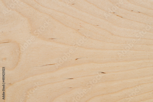 Cross-section of the wood plank. Wood plank texture with its natural pattern