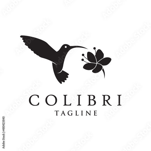 icon of flying colibri and flower isolated on white background