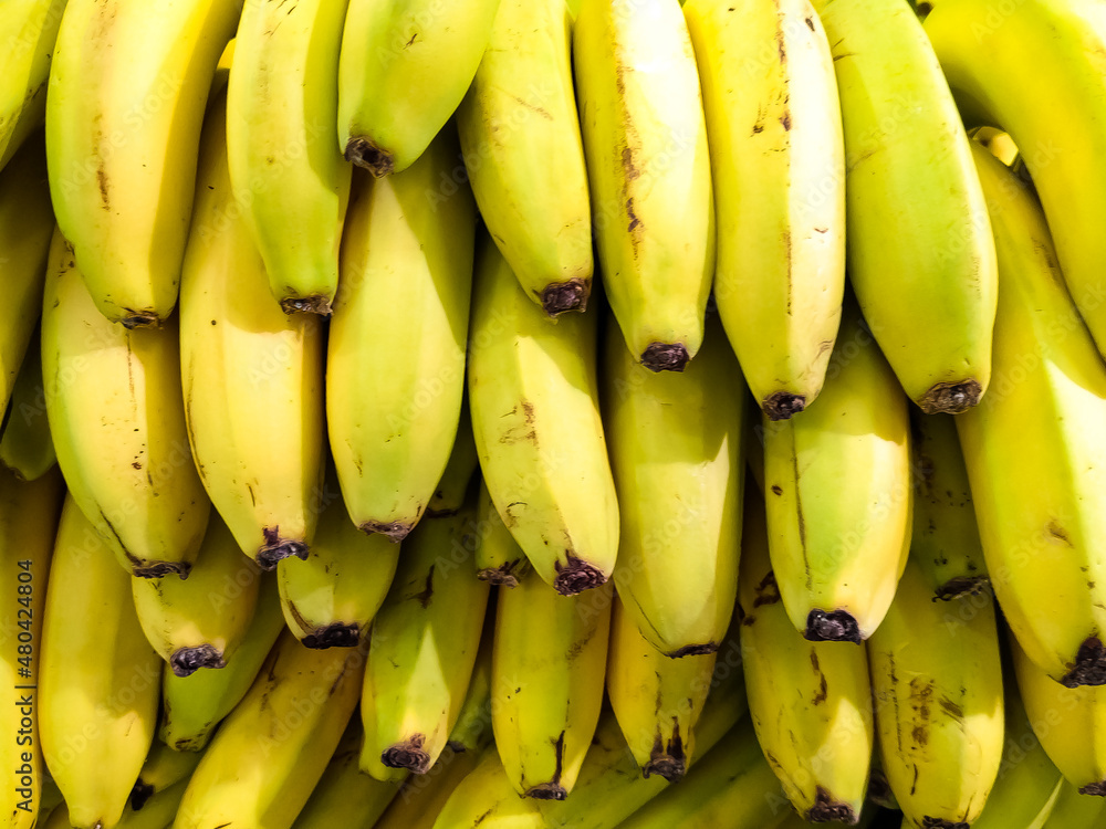 Bananas in the store. Concept of unripe fruits for sale