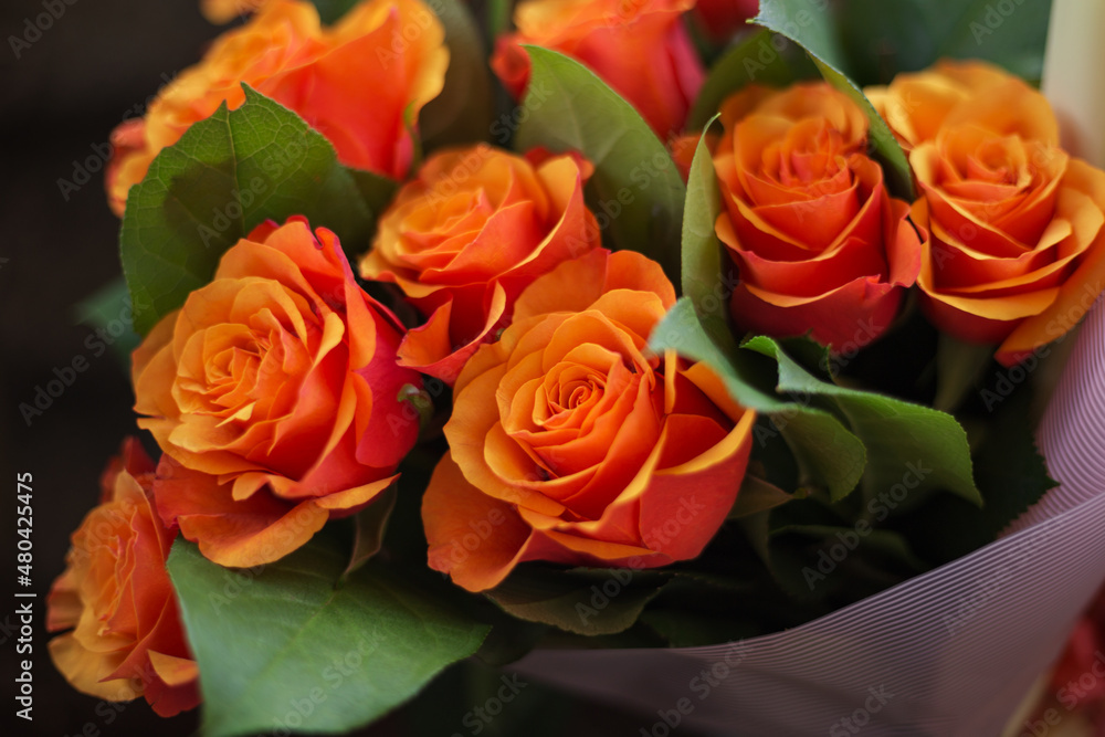 Naklejka premium Bunch of orange rose blooms. Selective focus.