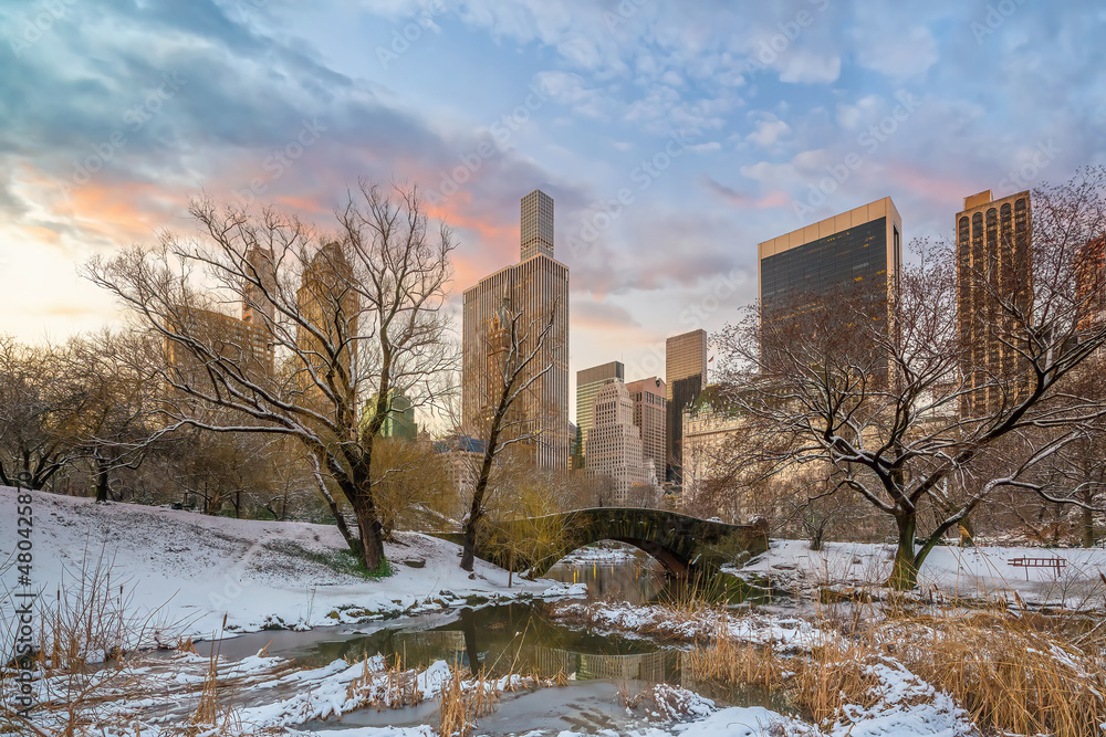 Central Park New York City in Manhattan USA in winter with snow