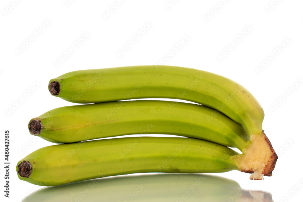 Three organic green bananas, macro, isolated on white.
