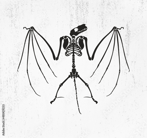 Bat skeleton with wings SVG, Bat skeleton Png, Skeleton Cut File, Bat Skeleton Bones Svg, Bat Skeleton Parts Kit SVG