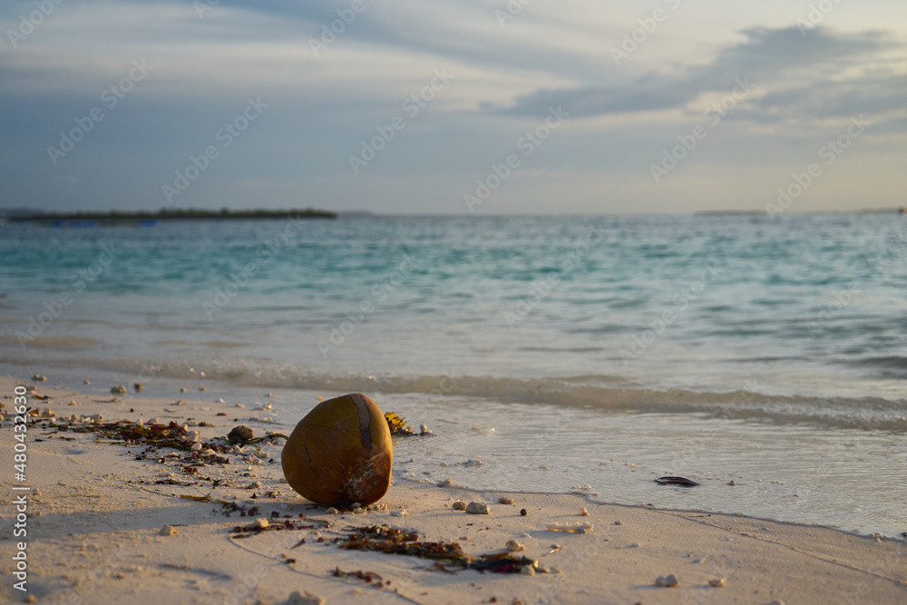 Coconut at sunset on the ocean.  Holidays in tropical countries