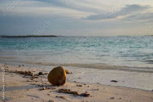 Coconut at sunset on the ocean. Holidays in tropical countries