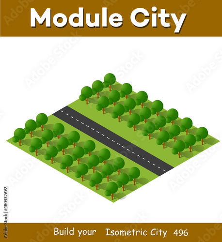 Isometric 3D illustration view from above to the Forest quarter